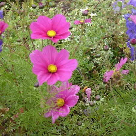 Chez Schangala Σπίτι διακοπών *