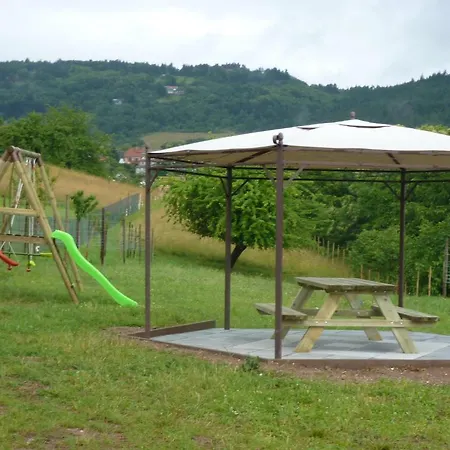 Holiday home Chez Schangala Thannenkirch